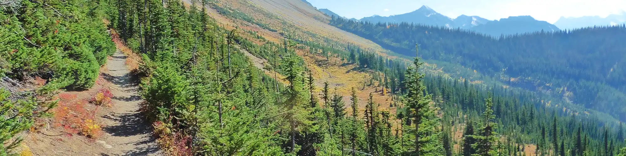 trail in mountainside