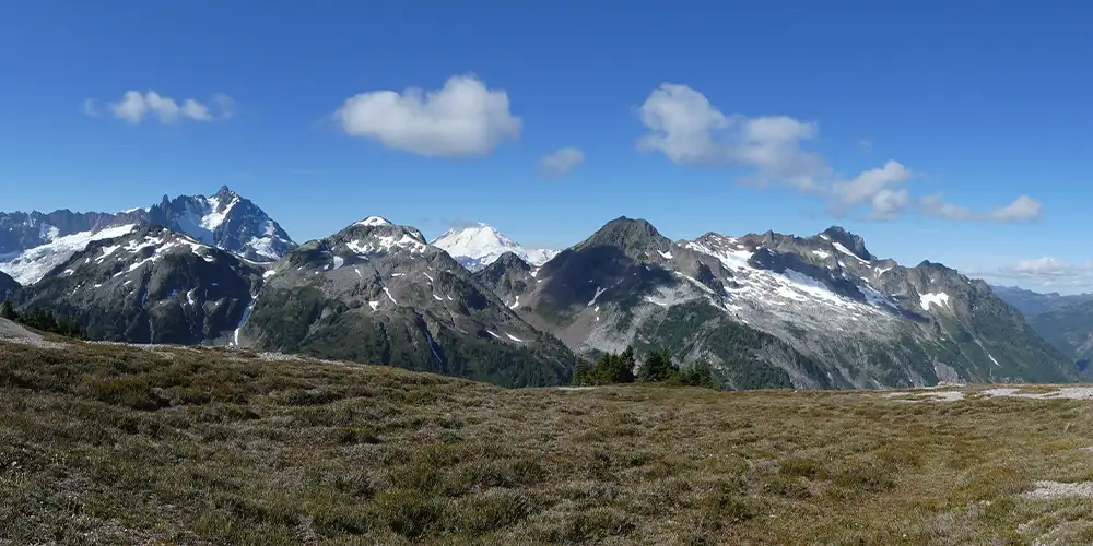 green grass with mountain range in background